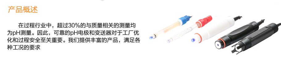 米科PH5013聚四氟乙烯防腐電極產(chǎn)品概述